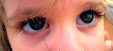 d80bb0ea7eba92188170ccd6a2bef86e.jpg