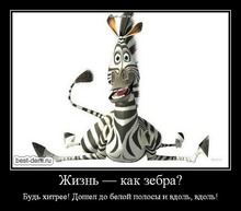2ca59c0fac6fd2bd80ca7d55f23d0971.jpg