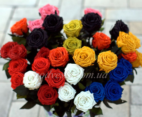 2dcb8c49ebafecb468ffe2bc9313e277.jpg