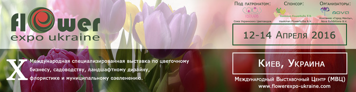5a86f5df286c5406f5eb401d2b5f2010.jpg