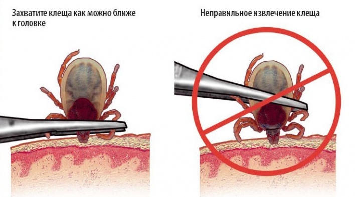 5bbedd84c078f1e3e938f5114139ae5d.jpg