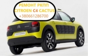 Діагностика та ремонт РКПП Citroen C4 Cactus # 2231V2, 2232W9, 2461F2, 259150, 205314, MCE, MCD